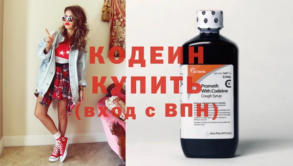 индика Беломорск