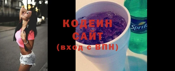 индика Беломорск