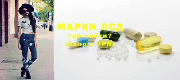 индика Беломорск