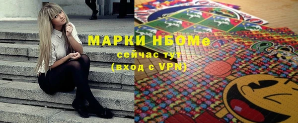 индика Беломорск