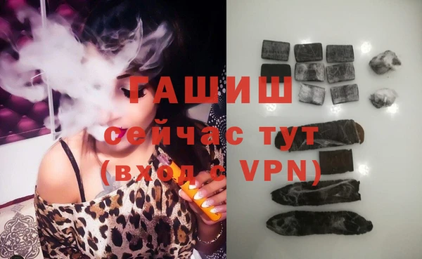 индика Беломорск