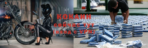 индика Беломорск
