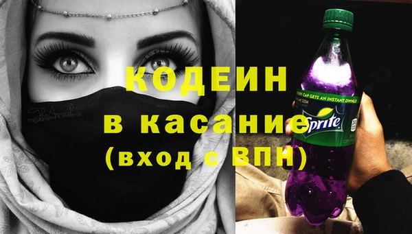 индика Беломорск