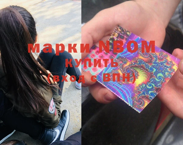 индика Беломорск