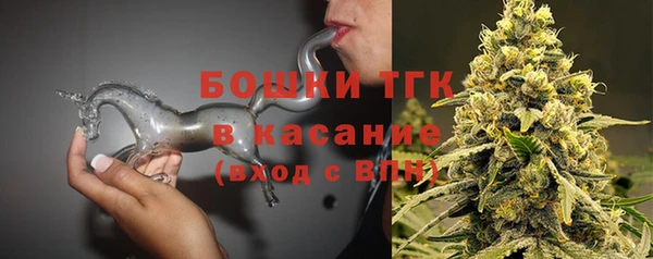 прущие грибы Белоозёрский